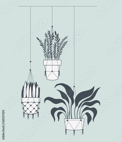 houseplants in macrame hangers
