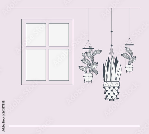 houseplants in macrame hangers with window