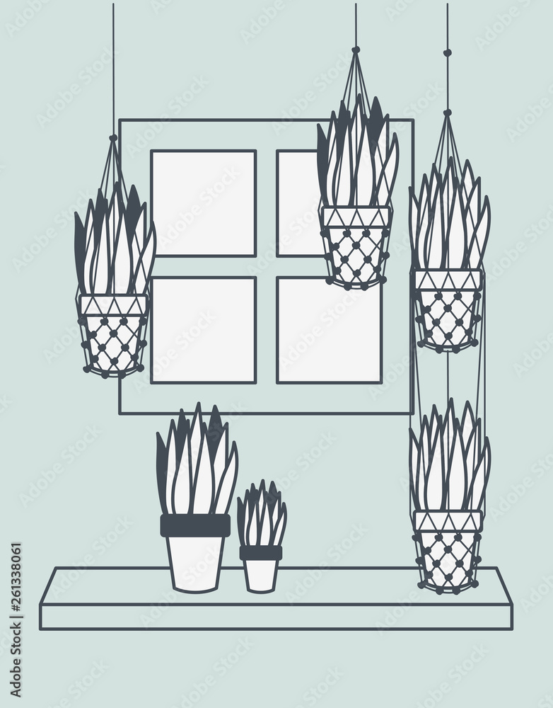 houseplants in macrame hangers with window houseplants in macrame hangers with window