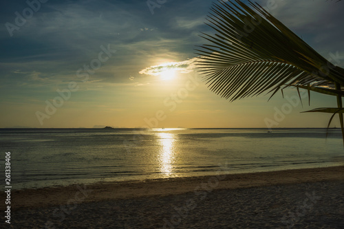 Palm on the white sand beach  sunset  Thailand