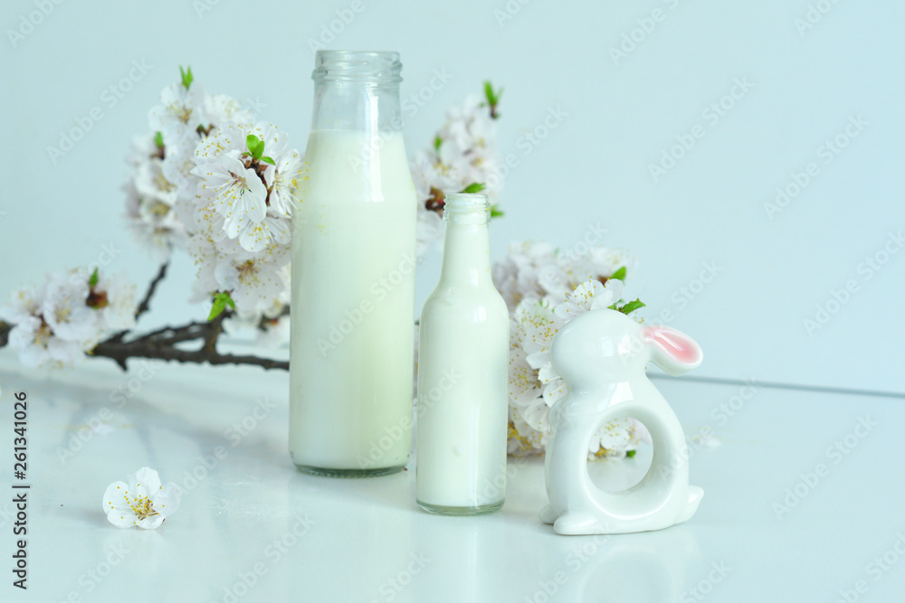 Easter composition on white background.Ceramic rabbit and two bottles of fresh milk with apricot flowers . Fresh milk from the farm.
