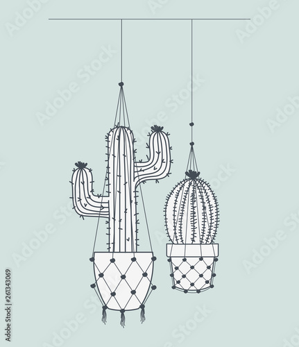 cactus houseplants in macrame hangers