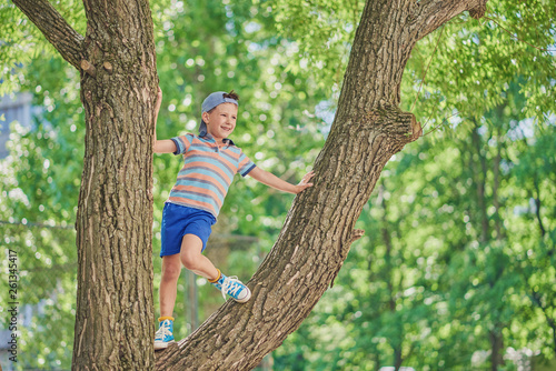 Cute European boy in a baseball cap is climbing on the tree. He is enjoying his holidays.