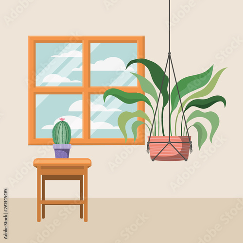 houseplant in macrame hanger with window
