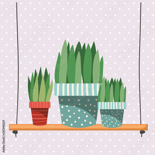 houseplants in macrame hangers and swing