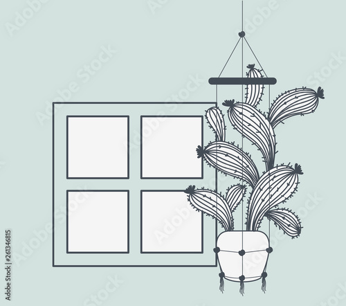 houseplant in macrame hanger with window