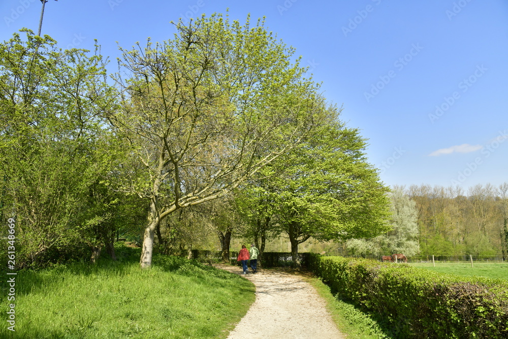 Couple âgé en promenade sous un arbre au domaine de l'abbaye du Rouge-Cloître à Auderghem