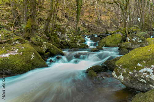 Fervenza do CACHÓN