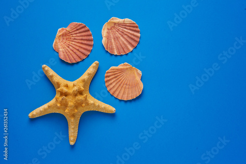 Summer sea background - shells  star fish on a blue background. Flat lay. Top view.