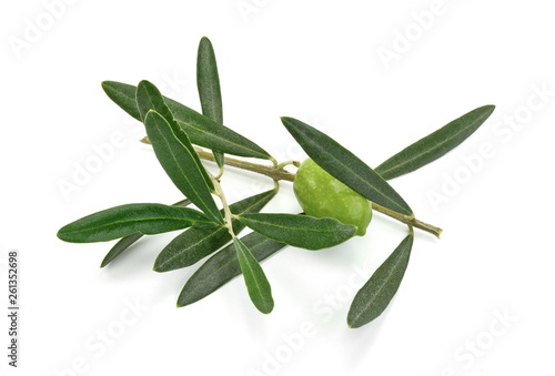 Olive branch with green olives, isolated on white background