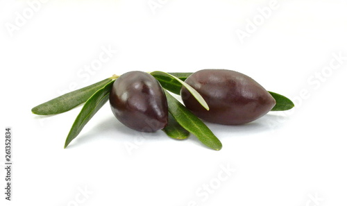 Olive branch with two black olives, isolated on white background