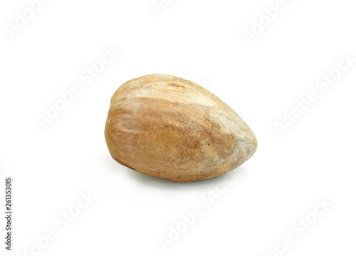 Bone from the avocado. Avocado seed isolated on white background. 