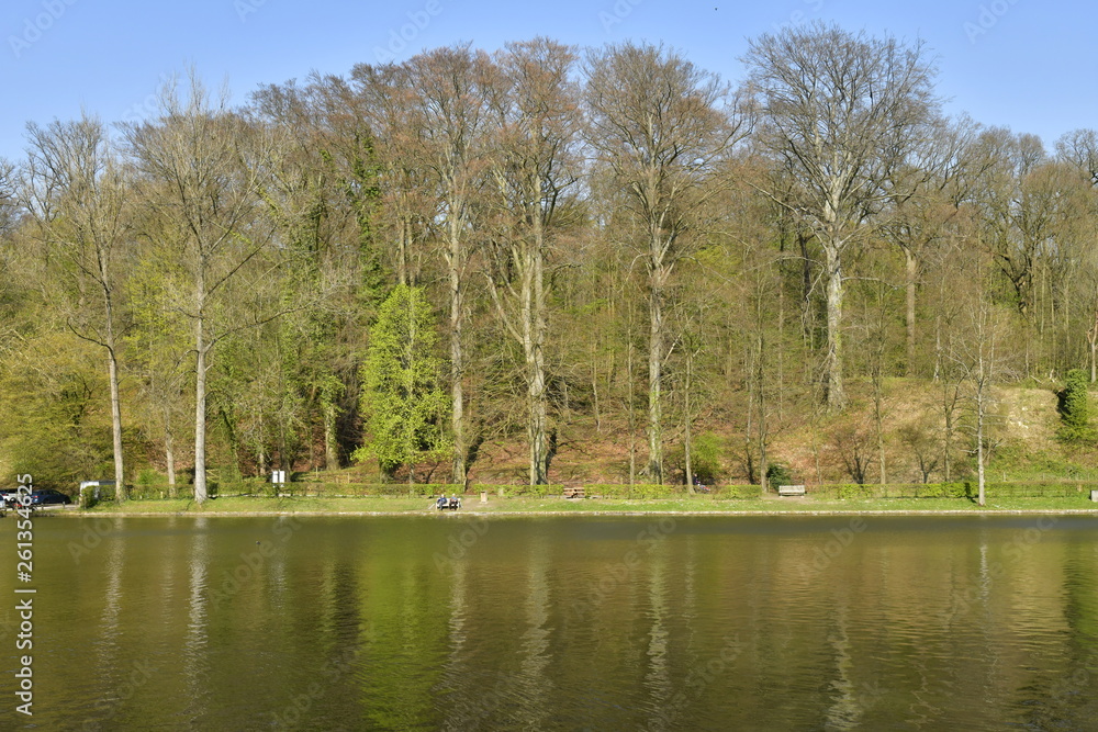 Obraz premium L'étang du Moulin et ses berges aménagées en lieu de détente longeant les hêtres de la forêt de Soignes au domaine de l'abbaye du Rouge-Cloître à Auderghem