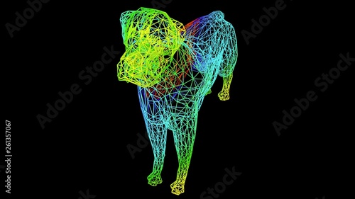 3d rendering of an artistic object made with colorful rope lines isolated on black