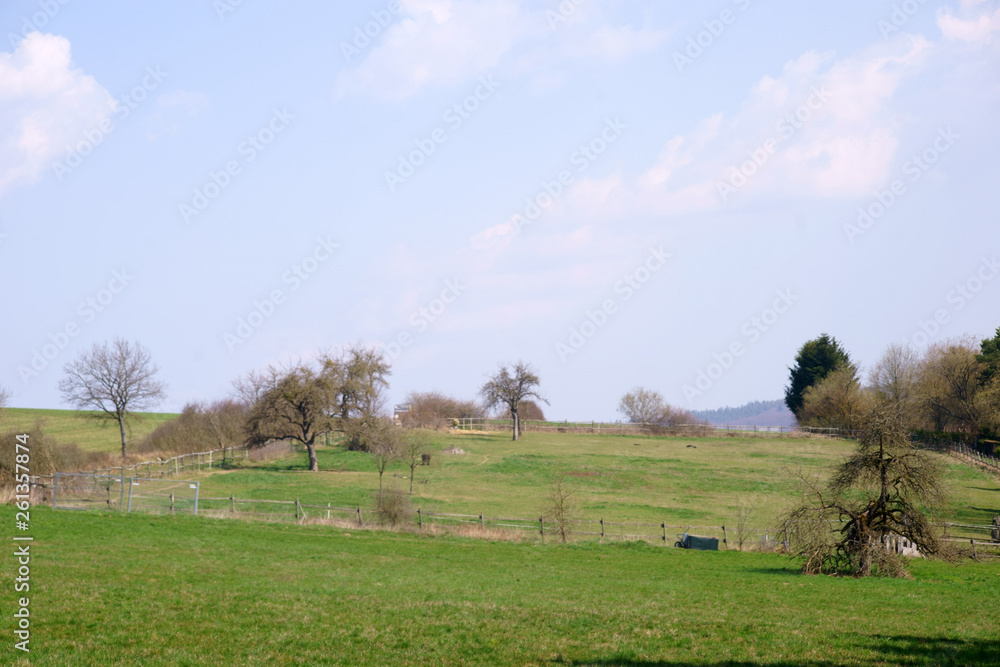 Eine Hügellandschaft mit Wiesen und einem Weidezaun.