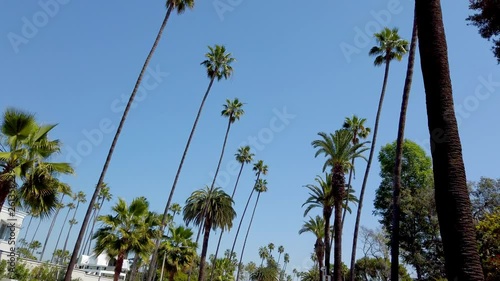 Driving through the streets of Beverly Hills