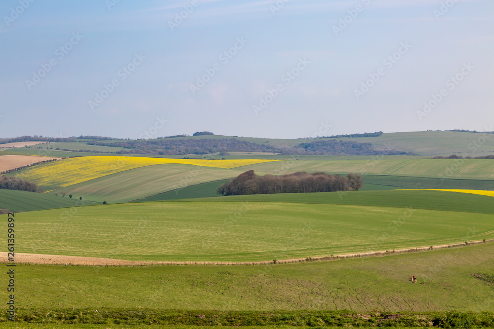 An Idyllic South Downs Landscape in Sussex, on a Sunny Spring Day