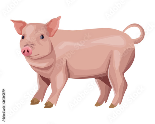 pig icon cartoon