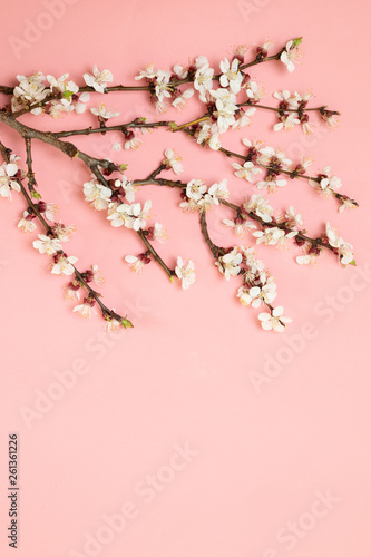 Spring flower branches pattern pastel pink background. Flat lay