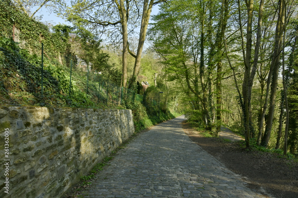 Chemin ombragé longeant un mur en pierres vers un endroit plus éclairé au domaine de l'abbaye du Rouge-Cloître à Auderghem Chemin ombragé longeant un mur en pierres vers un endroit plus éclairé au domaine de l'abbaye du Rouge-Cloître à Auderghem