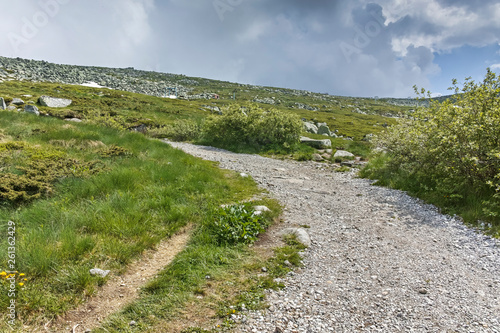 Summer Landscape near Cherni Vrah peak at Vitosha Mountain  Sofia City Region  Bulgaria