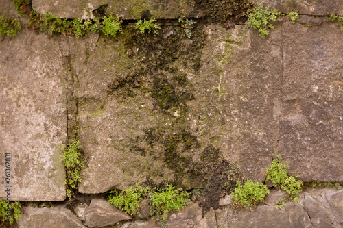 the stone wall is covered with moss. background texture stone walls