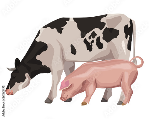 cow with pig