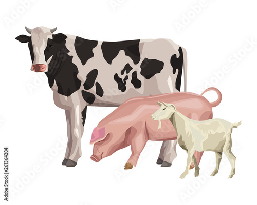 cow pig and goat
