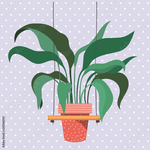 houseplant in macrame hangers