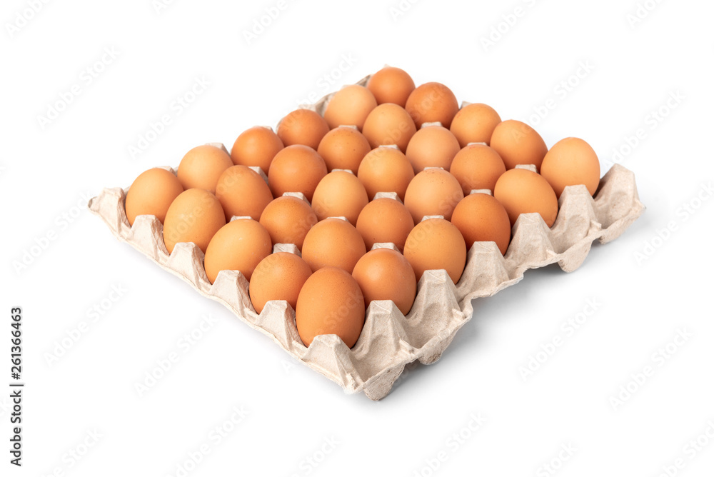 Raw eggs in the tray isolated on white background.