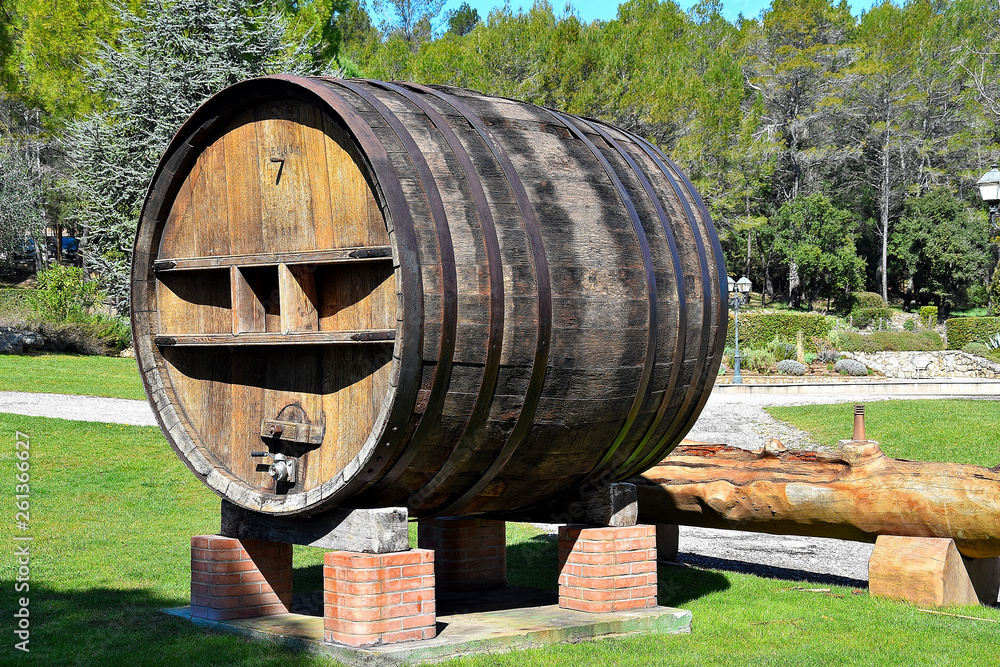 old wine barrels in vineyard