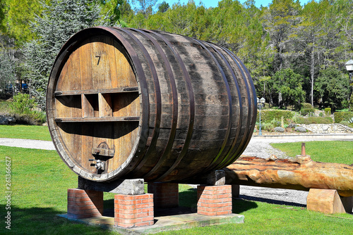 old wine barrels in vineyard