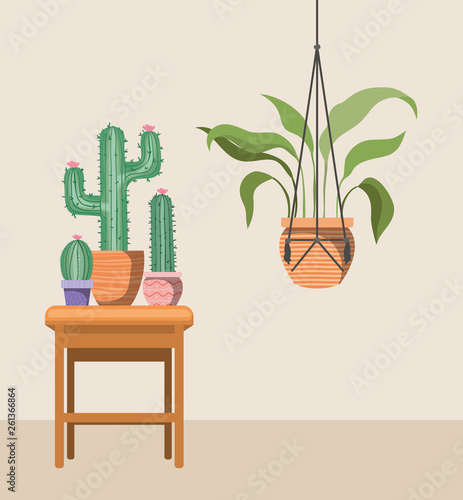 houseplants in macrame hangers and wooden chair