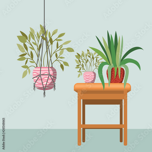 houseplants in macrame hangers and wooden chair
