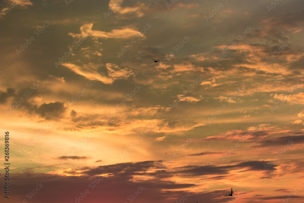 Fototapeta premium Vivid dramatic twilight sunset sky with colorful clouds and silhouettes of birds