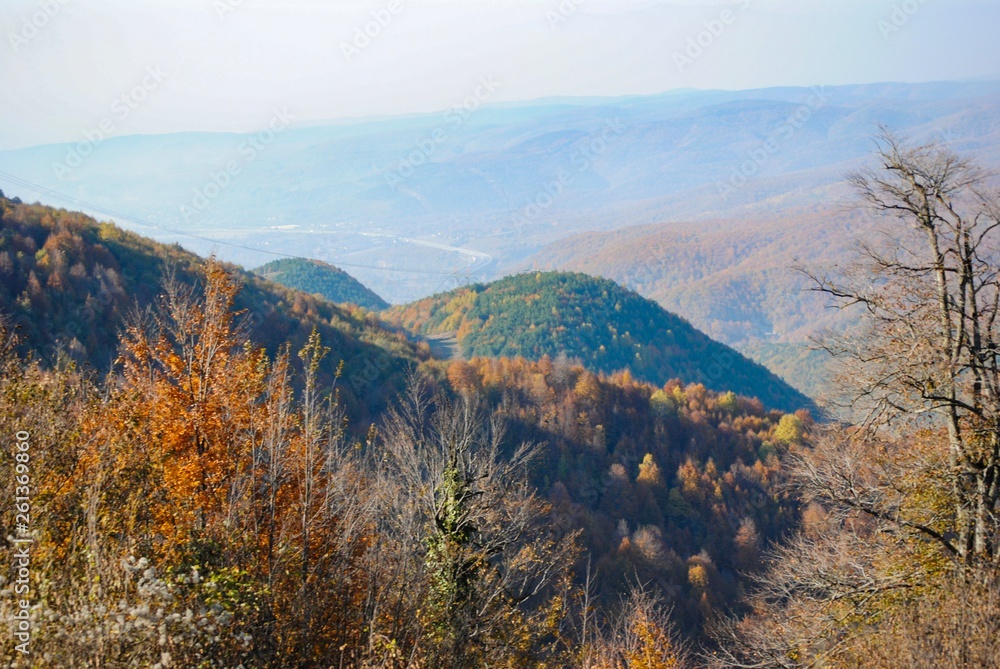 Obraz premium What a colorful mountain