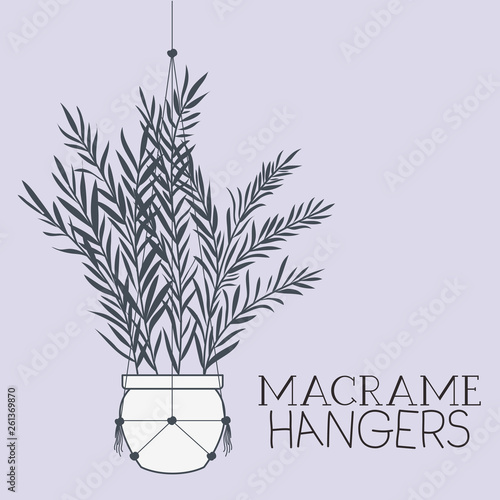 houseplant in macrame hangers