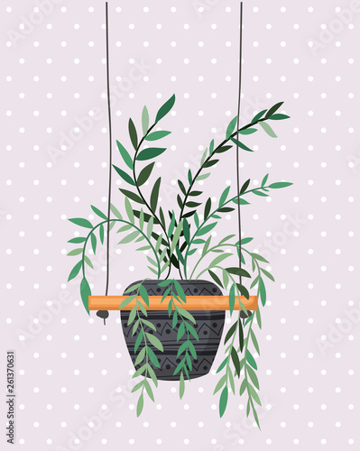 houseplant in macrame hangers