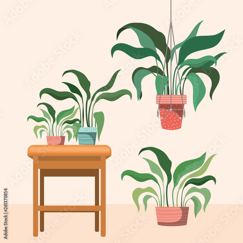 houseplants in macrame hangers and wooden chair