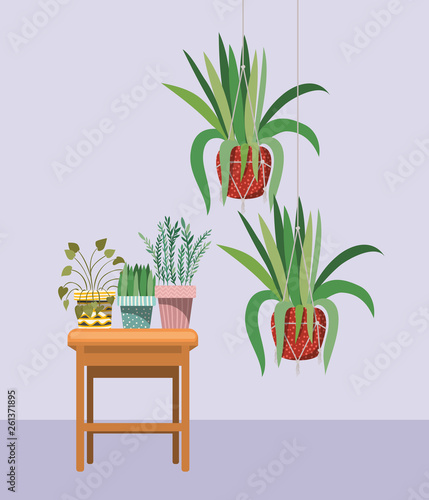 houseplants in macrame hangers and wooden chair