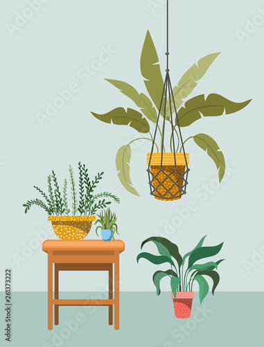houseplants in macrame hangers and wooden chair