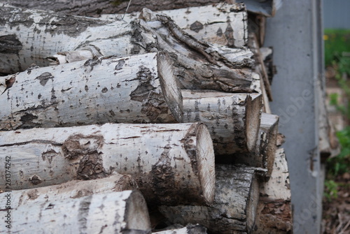logs of old wood