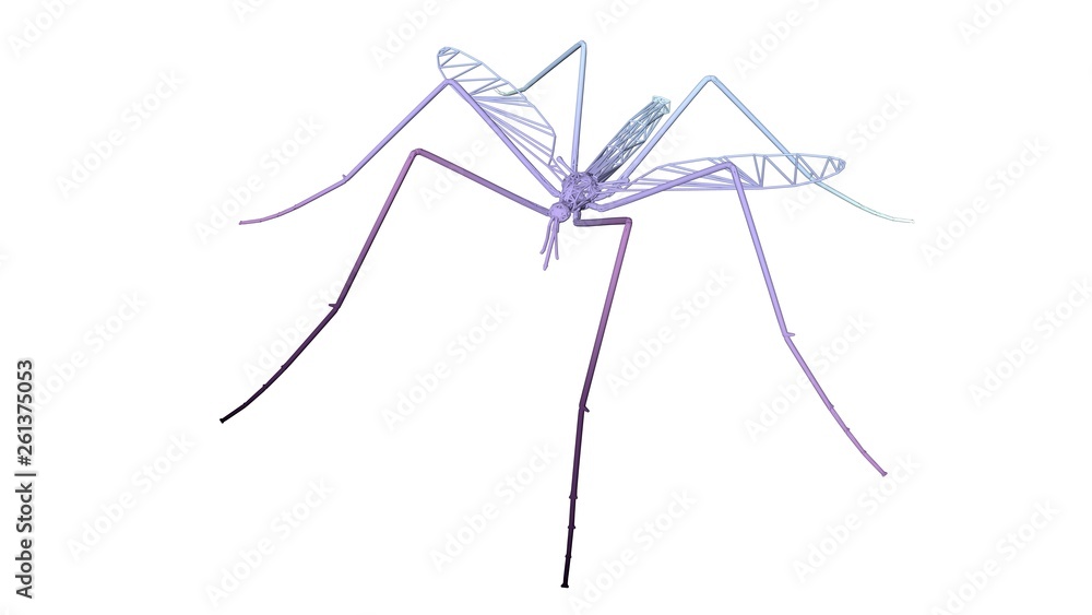 3d rendering of an artistic animal with reflection isolated on white background 3d rendering of an artistic animal with reflection isolated on white background