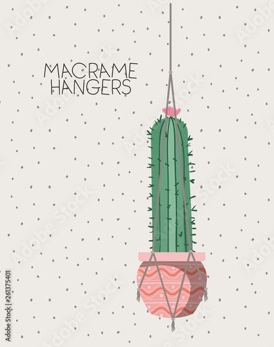 cactus houseplant in macrame hangers