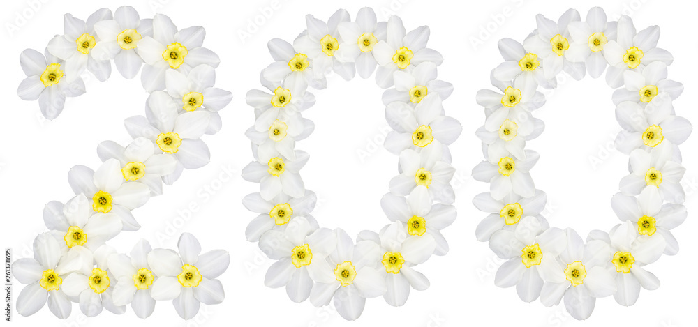 Numeral 200, two hundred, from natural white flowers of Daffodil (narcissus), isolated on white background