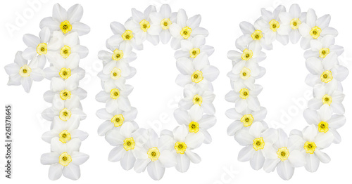 Numeral 100  one hundred  from natural white flowers of Daffodil  narcissus   isolated on white background