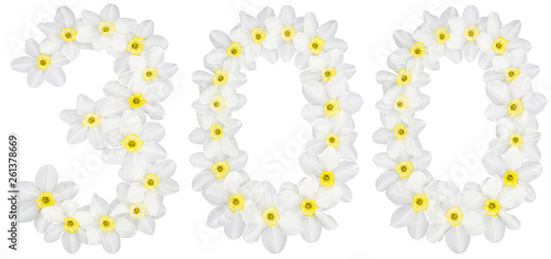 Numeral 300  three hundred  from natural white flowers of Daffodil  narcissus   isolated on white background