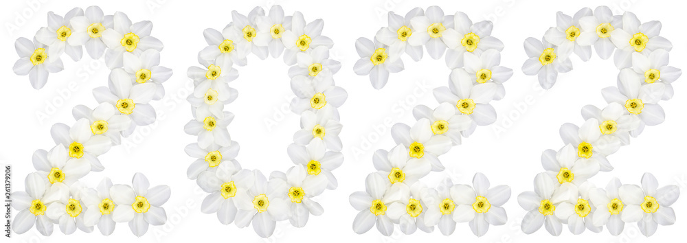 Inscription 2022, from natural white flowers of Daffodil (narcissus), isolated on white background Inscription 2022, from natural white flowers of Daffodil (narcissus), isolated on white background