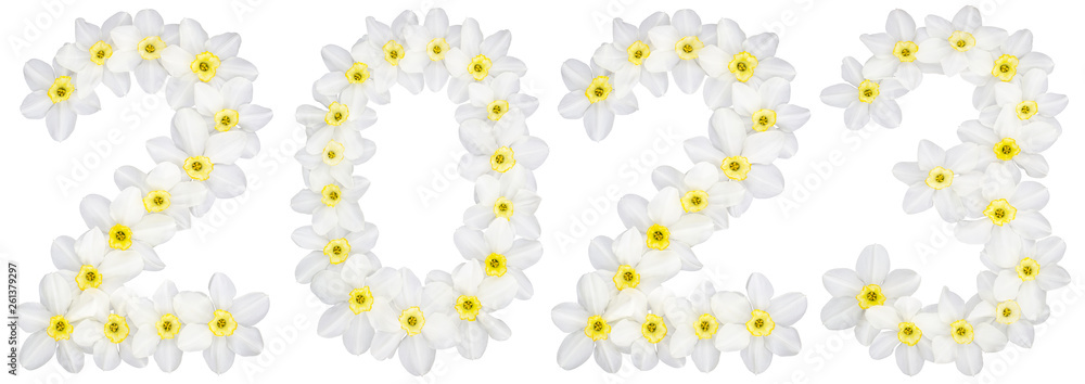 Inscription 2023, from natural white flowers of Daffodil (narcissus), isolated on white background