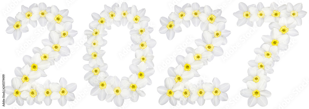 Inscription 2027, from natural white flowers of Daffodil (narcissus), isolated on white background